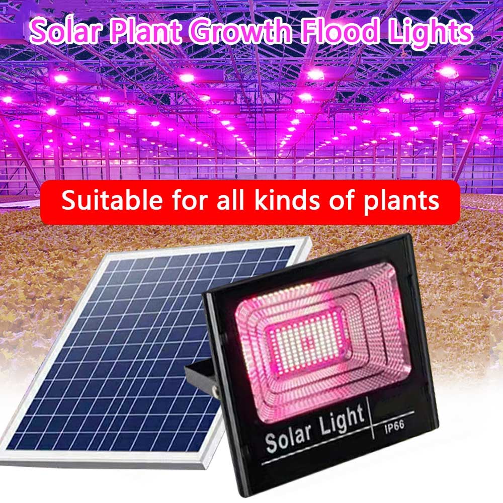 Solar LED Grow Light Full Spec - Outdoor Power And Plant recensione e prezzo