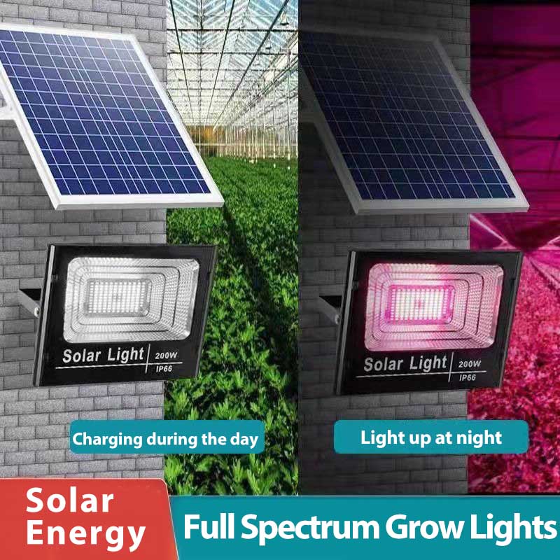 Solar LED Grow Light Full Spec - Outdoor Power And Plant recensione e prezzo