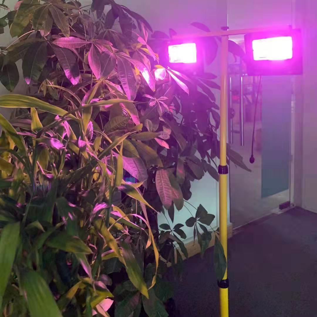 Solar LED Grow Light Full Spec - Outdoor Power And Plant recensione e prezzo