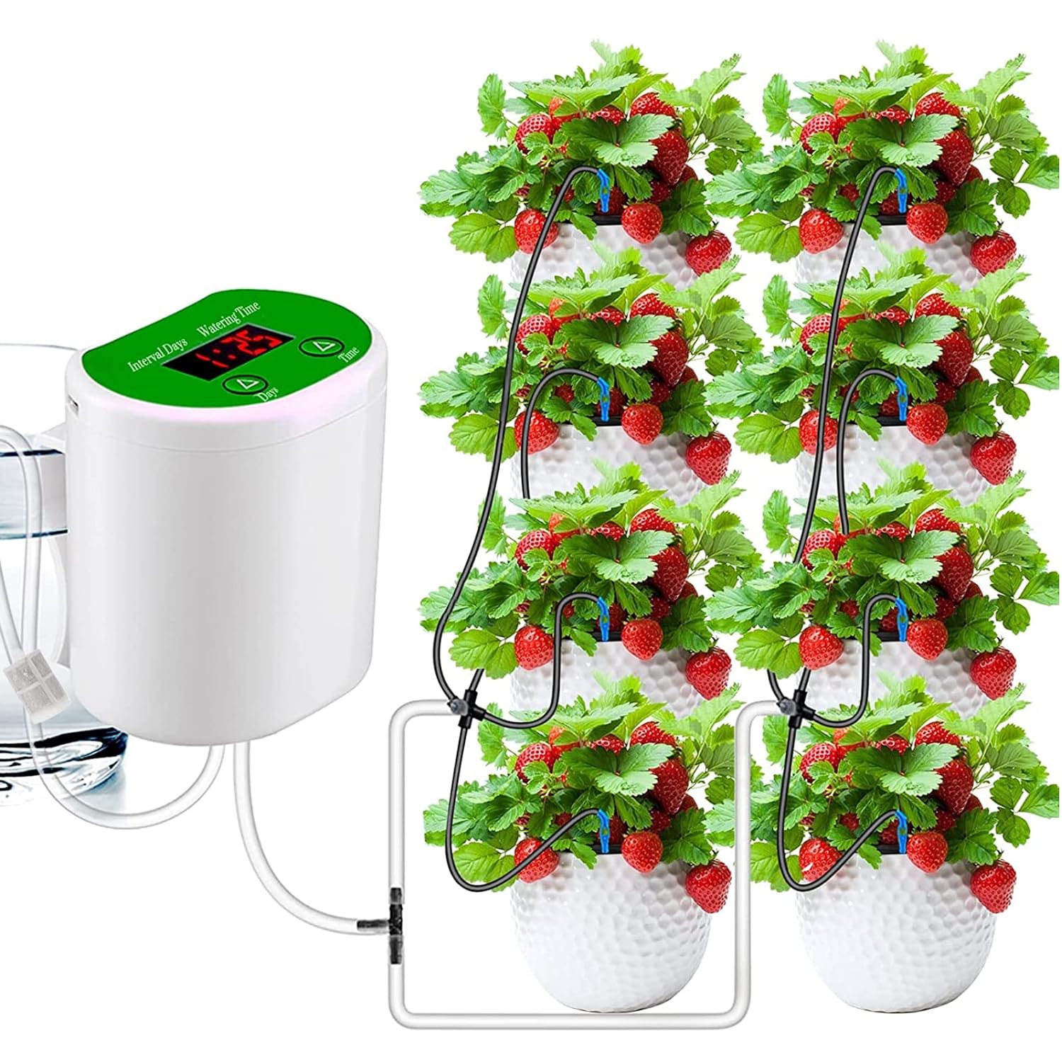Outdoor Garden Plant Watering  - Outdoor Power And Plant recensione e prezzo