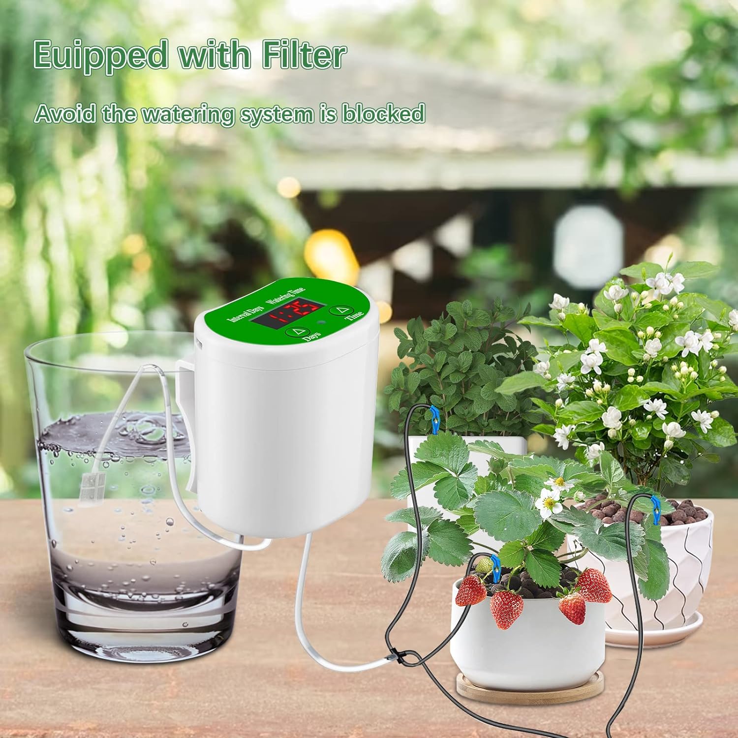 Outdoor Garden Plant Watering  - Outdoor Power And Plant recensione e prezzo