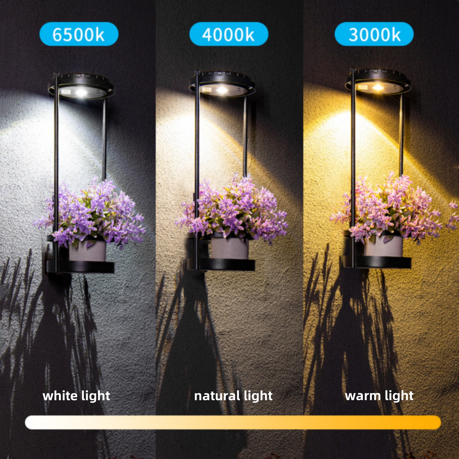 LED Solar Garden Lights Outdoo - Outdoor Power And Plant recensione e prezzo